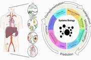 Investigation of the relationship between the amino acid and acylcarnitine serum metabolomics profile and liver profile with care and complications of type 2 diabetes: a population-based observational study of diabetes care (DiaCare study)