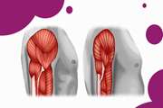 Sarcopenia Disease Registration Program